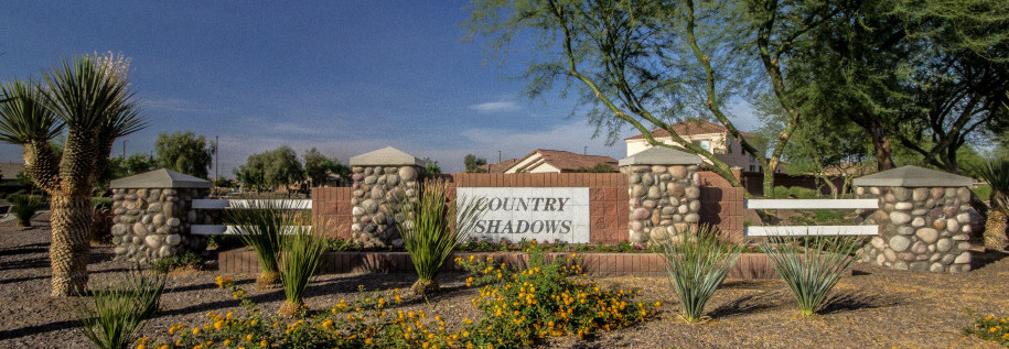 Country Shadows in Gilbert Arizona 85298 