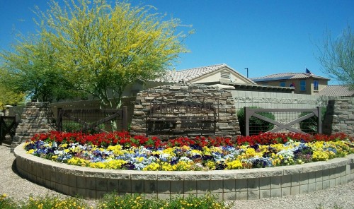 Felty Farms HOA info - gilbert arizona