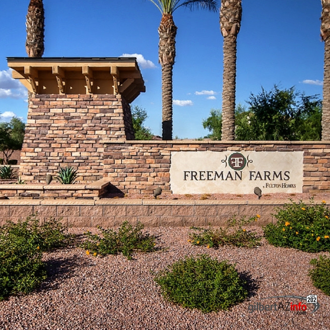 freeman farms homes for sale in gilbert arizona, gilbert arizona real estate, gilbert arizona homes for sale